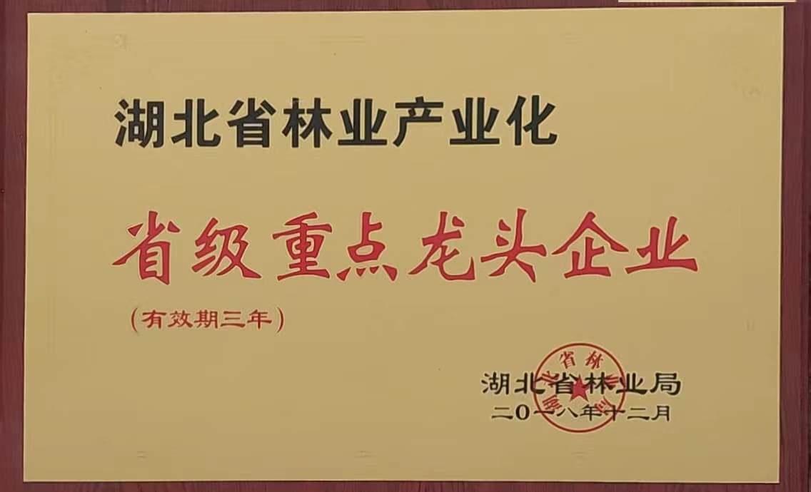 省林業(yè)產(chǎn)業(yè)化重點(diǎn)龍頭企業(yè)（2018.12）.jpg